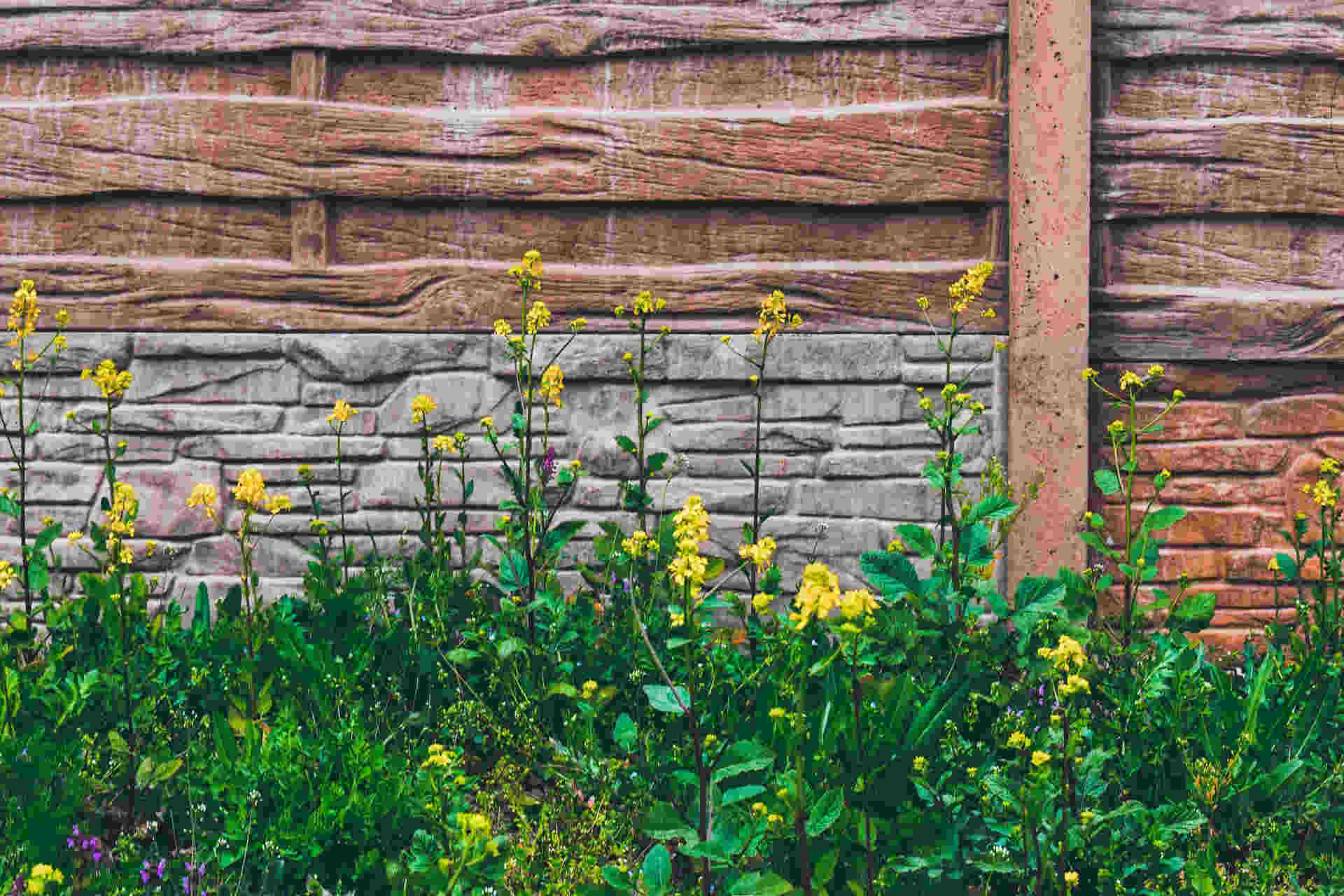 Illustration Randonnées